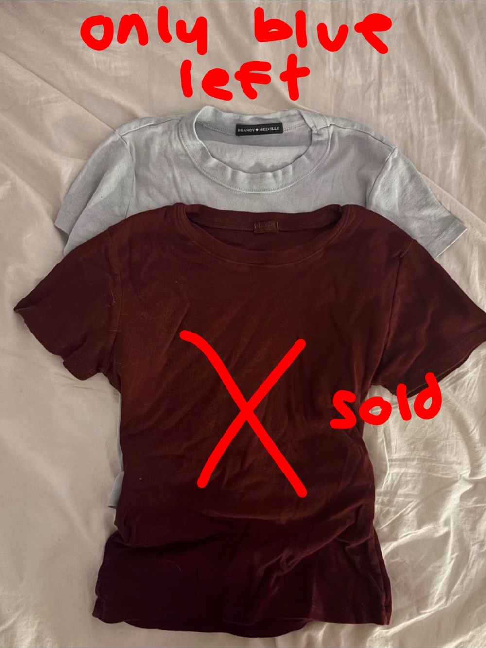 BUNDLE Brandy Melville Burgundy and Light Blue Basic Tees
